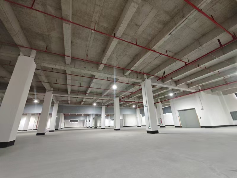 ·ðɽ¿ÍÕ» ·ðɽ¿ÍÕ»